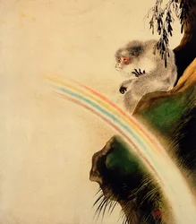 Gibbon auf einem Felsen sitzend mit Regenbogen im Vordergrund